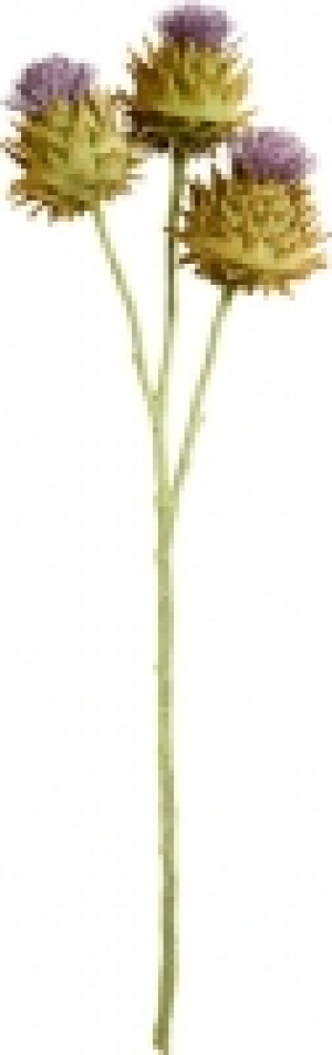 AUTUMN Disteln CHF 6.90