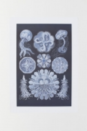 Poster CHF 10.95