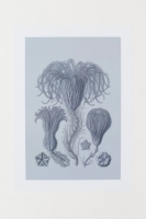 Poster CHF 8.95