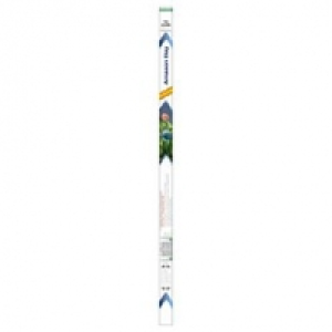 Dennerle Trocal Amazon Day T5 CHF 28.70