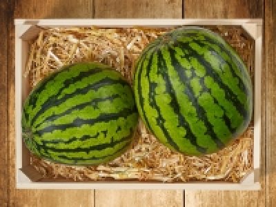 Baby Wassermelonen CHF 1.19