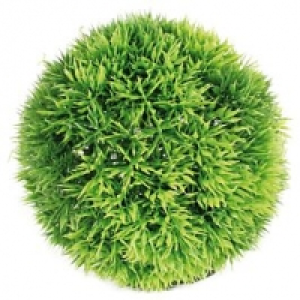 Amazonas Nano Pflanzenball 12cm