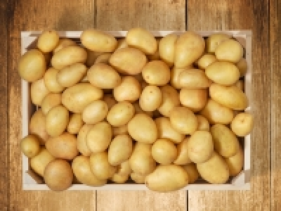 Frühkartoffeln CHF 1.29
