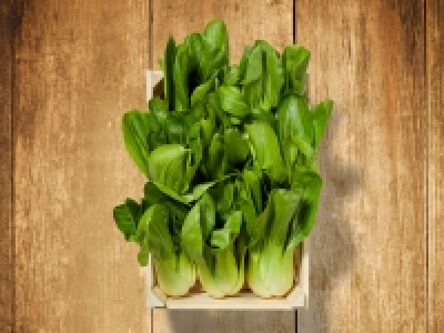 Pak Choi (mind. - 30 % auf den aktuellen Tagespreis) CHF 1.99