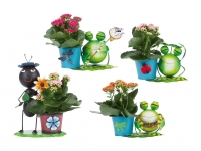 Zinkfiguren mit Kalanchoe CHF 5.99