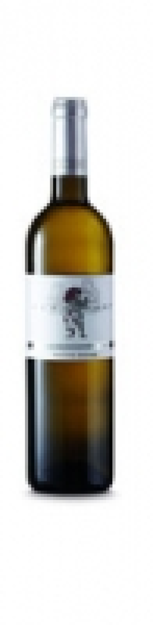 Valais AOC Petite Arvine Hurlevent 2018