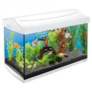 Tetra AquaArt LED Discover Line 60l CHF 145.00