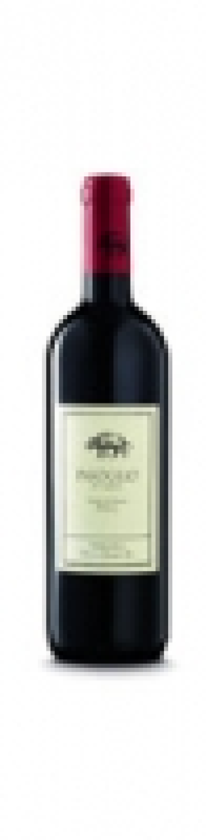 Toscana IGT Insoglio del Cinghiale Tenuta di Biserno 2018