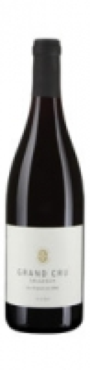 Salquenen AOC Pinot Noir Grand Cru 2017
