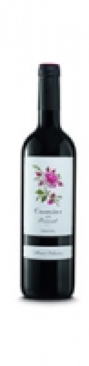 Priorat DOQ Camins del Priorat Álvaro Palacios 2016