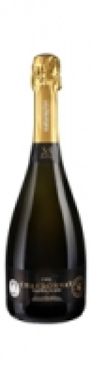 Mondovino  Naturaplan Bio Chardonnay Reserva Metodo Tradicional Cava brut