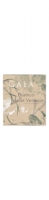 Mondovino  Gala Bag-in-Box Venezie bianco IGT