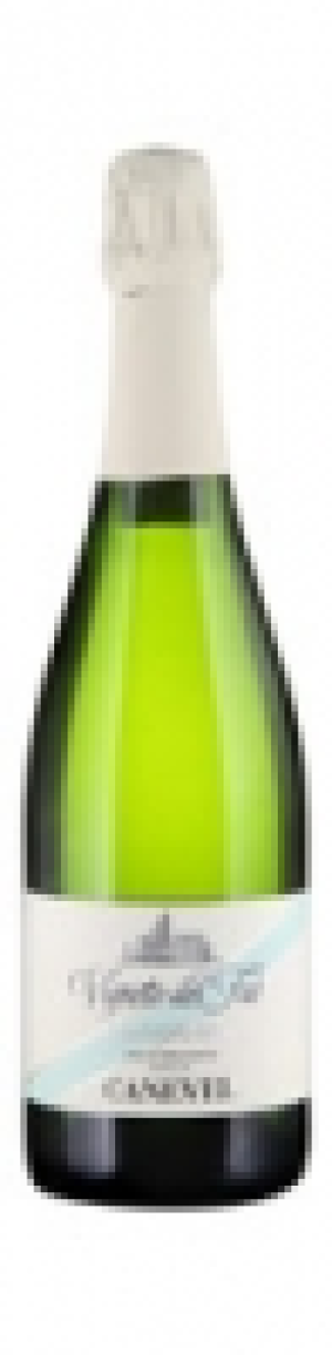 Canevel Prosecco Superiore Valdobbiadene DOCG Vigneto del Faè