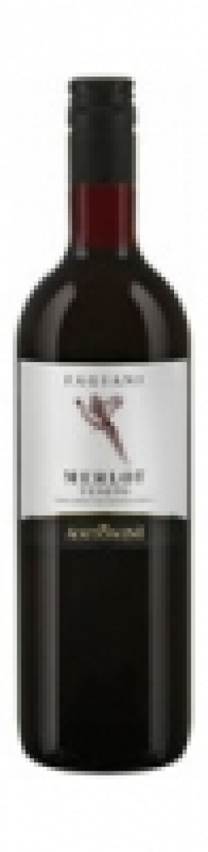 Merlot Veneto Fagiani Antonini 2019