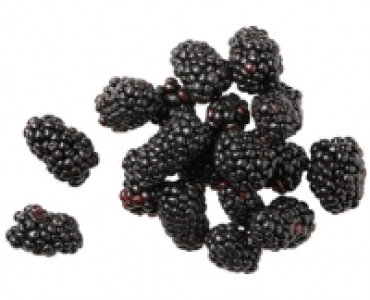 BROMBEEREN CHF 1.59