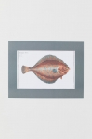 Poster CHF 7.95
