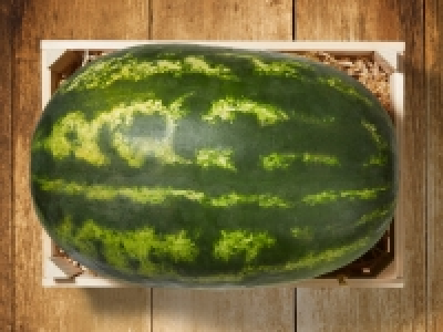 Dumara Wassermelone XXL CHF 0.49