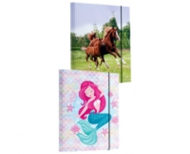 SCHULMAPPE/HEFTBOX CHF 2.99