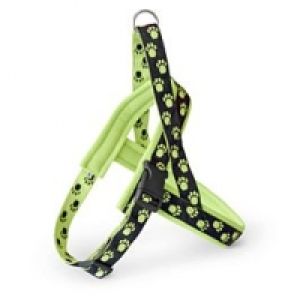 Qualipet  Freezack Nordic Geschirr XS 40-53cm Grün