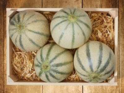 Cantaloupmelone CHF 1.49