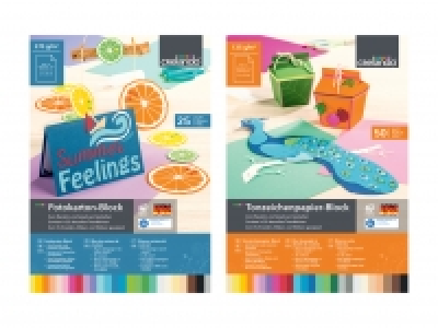 Fotokarton-/Tonzeichenpapier-Block CHF 3.99