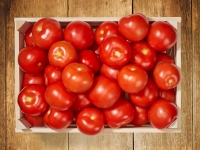 Lidl  Tomaten