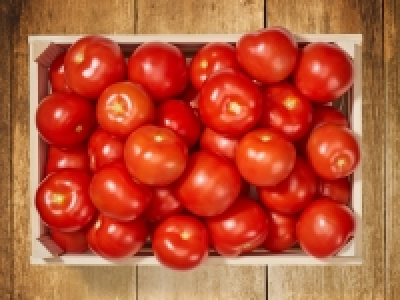 Lidl  Tomaten