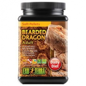 Exo Terra Bearded Dragon Adult