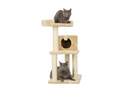 Kratzbaum CHF 39.90