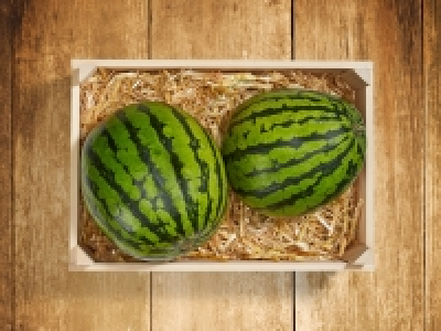 Baby Wassermelone CHF 0.99