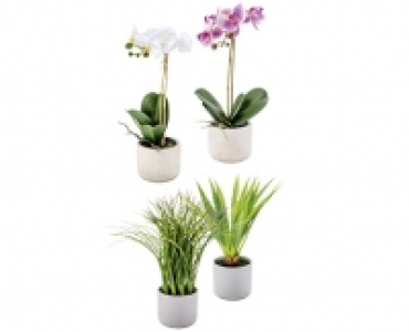 KUNSTPFLANZE CHF 12.99