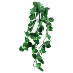 Amazonas Repti Fantasy Plant T 030 Kunststoffpflanze CHF 6.95