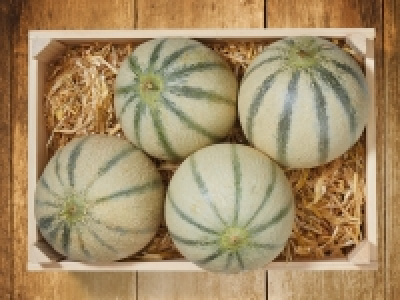 Cantaloupmelone CHF 1.29
