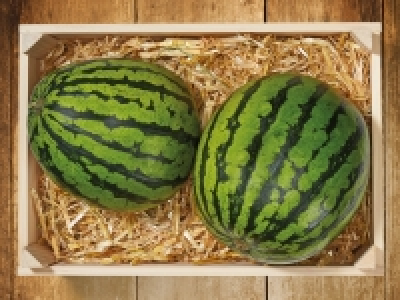 Bio Baby Wassermelone CHF 2.79