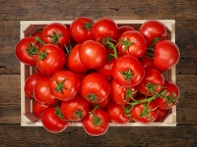 BIO Rispentomaten CHF 2.49