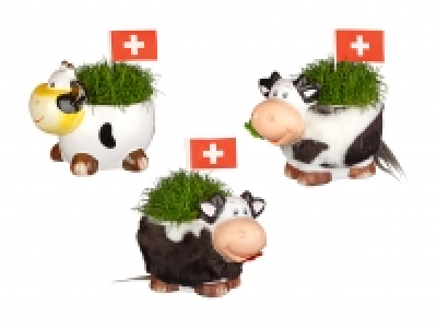 Sagina in Kuhdesign zum 1. August CHF 4.99