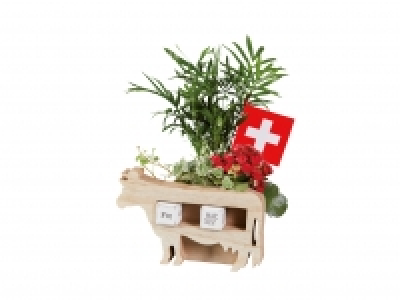 Bepflanzte Holzkuh zum 1. August CHF 14.99