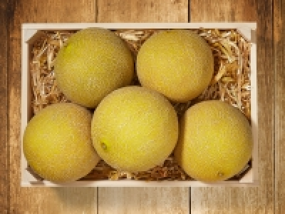 Galiamelone CHF 1.19