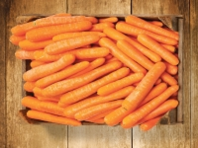 Bio Karotten CHF&nbsp;2.49