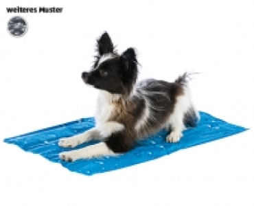 ROMEO KÜHLMATTE FÜR HUNDE CHF 9.95
