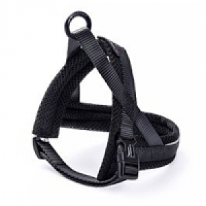 Freezack Nordic Basic Mini