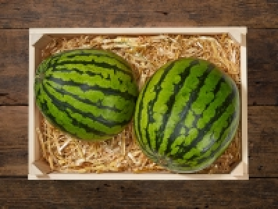 Baby Wassermelone CHF 0.79