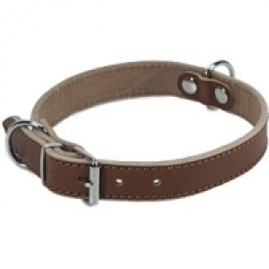 Colly Leder Halsband extra stark CHF 24.90