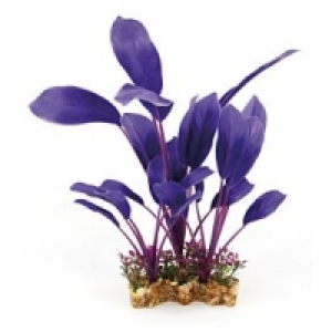 Amazonas Fantasy Plant VBS 30cm violett
