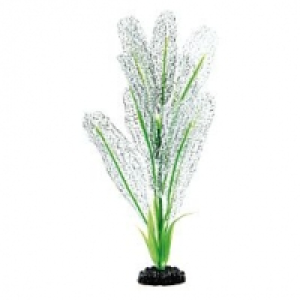 Amazonas Fantasy Plant S 30cm weiss CHF 7.50