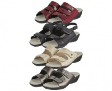 BLUE MOTION DAMENPANTOLETTEN CHF 14.99