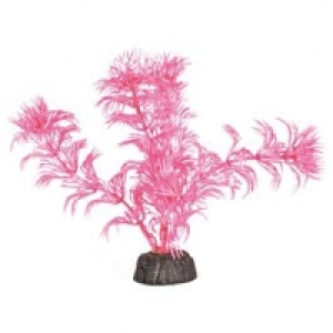 Amazonas Nano Kunststoffpflanze 12cm