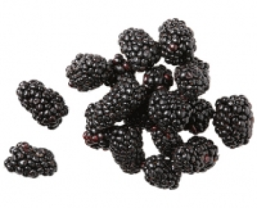 SCHWEIZER BROMBEEREN CHF 2.79