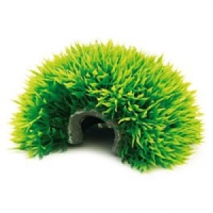 Amazonas Nano Pflanzenball 6x12cm