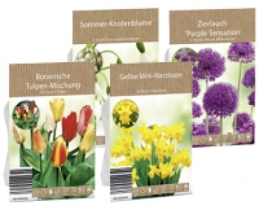 BLUMENZWIEBELN CHF 1.79